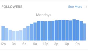 Instagram Followers Insights